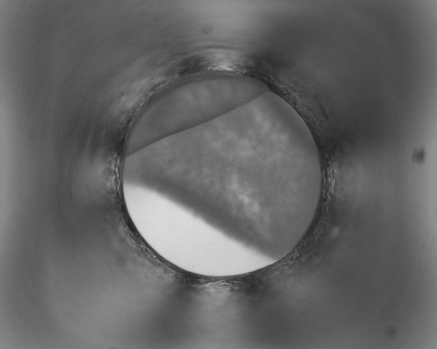 X0000115310423200911301540