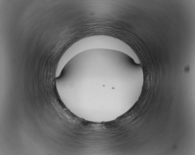 X0000115310424200911301540