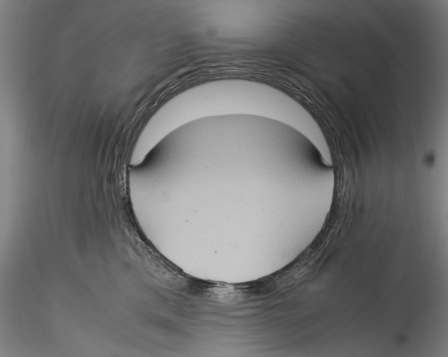 X0000115310425200911301540