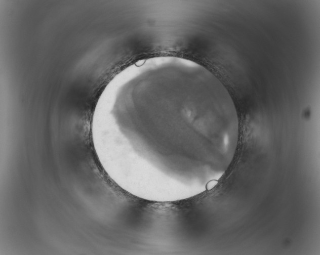 X0000115310427200911301540