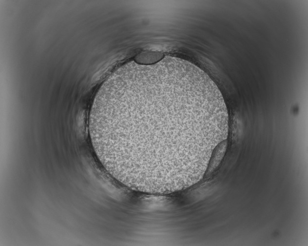 X0000115310428200911301540