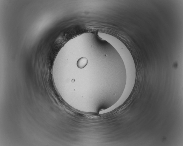 X0000115310429200911301540