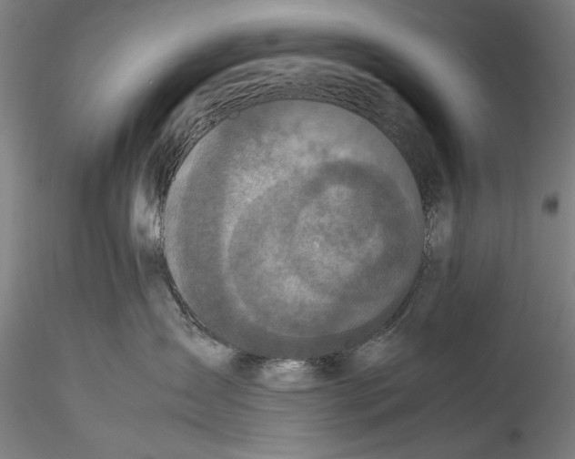 X0000115310431200911301540