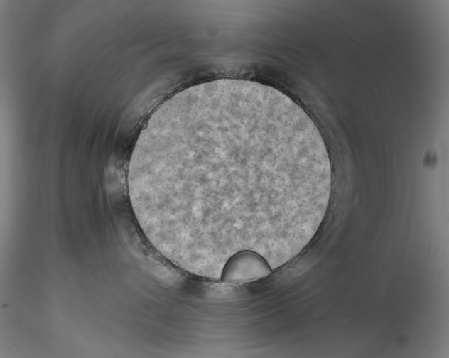 X0000115310432200911301540