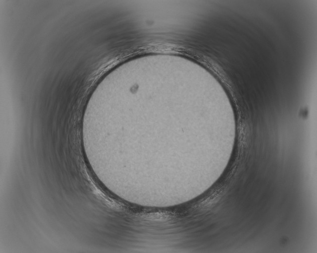 X0000115310433200911301539