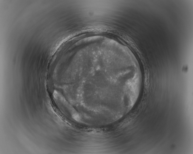 X0000115310434200911301539