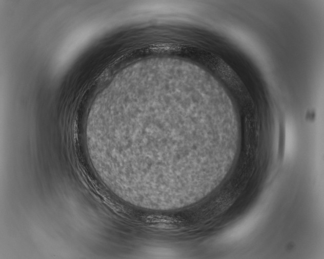 X0000115310435200911301539