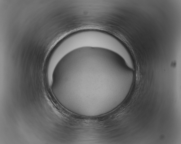 X0000115310436200911301539