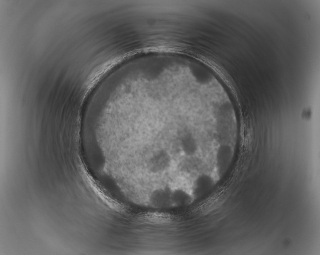 X0000115310437200911301539