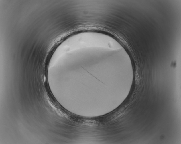 X0000115310438200911301539