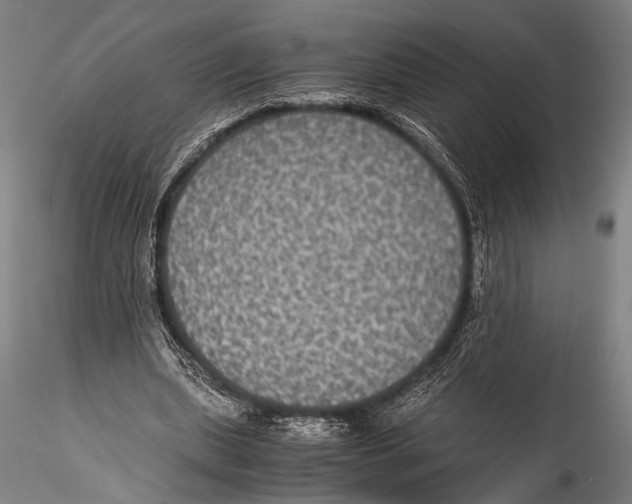 X0000115310439200911301539