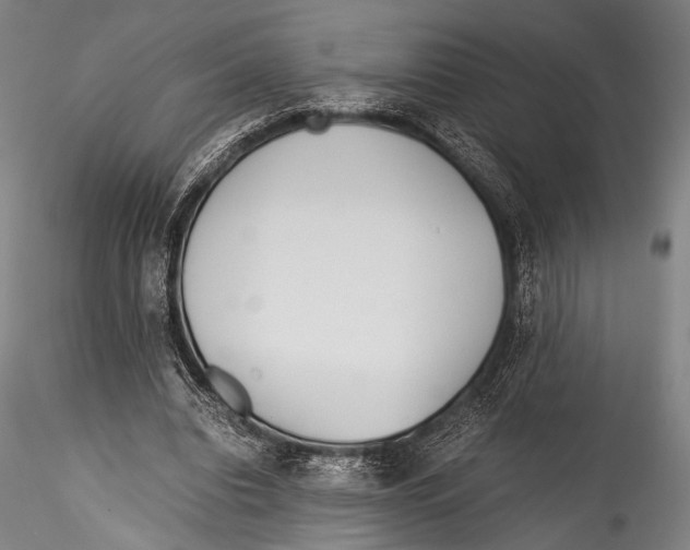 X0000115310440200911301539