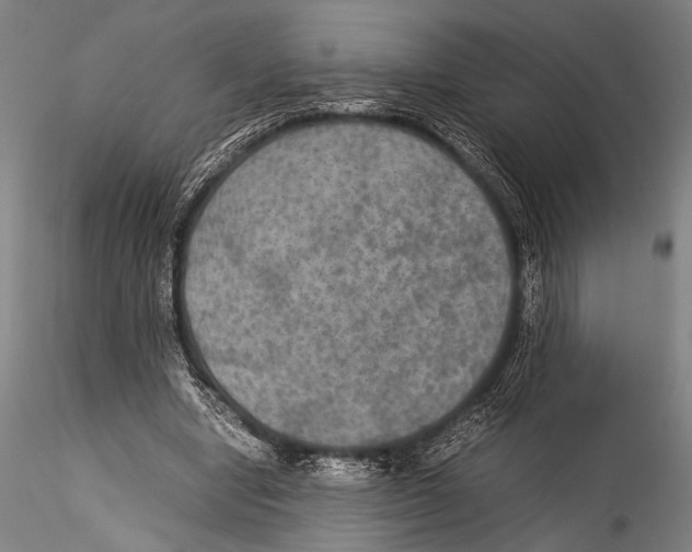 X0000115310442200911301539