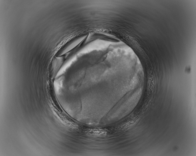 X0000115310443200911301539