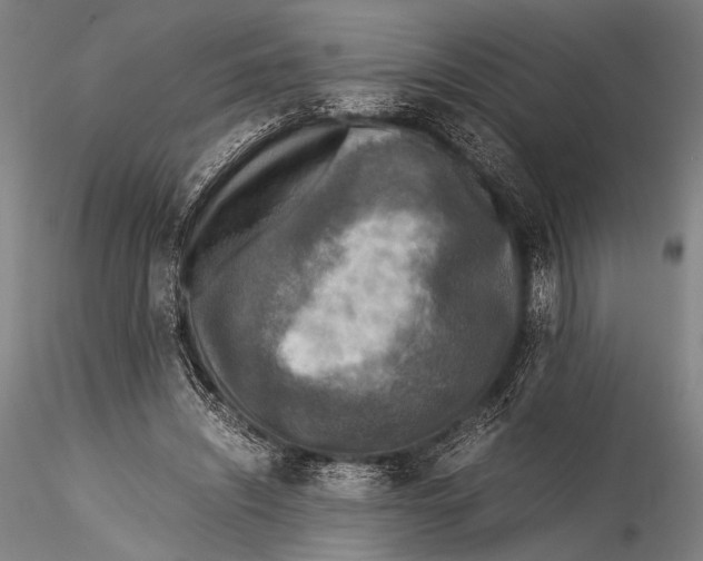 X0000115310444200911301539