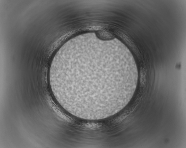 X0000115310445200911301539