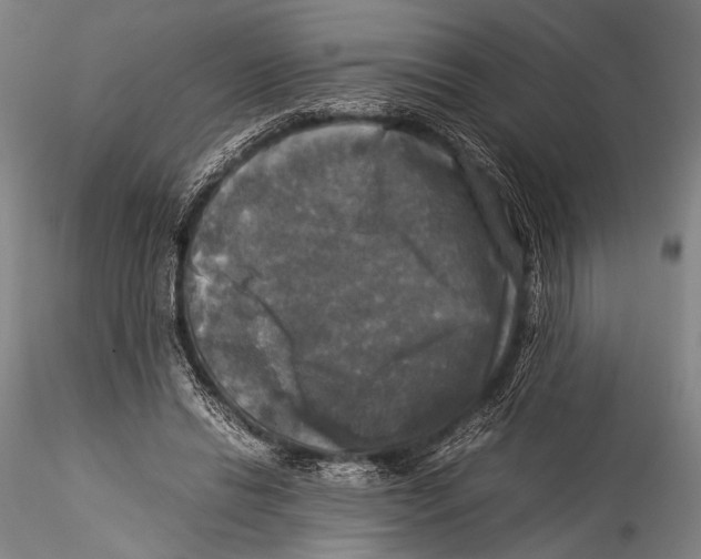 X0000115310446200911301539