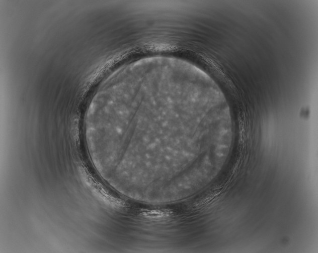 X0000115310447200911301539