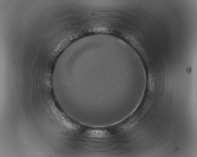 X0000115310449200911301539