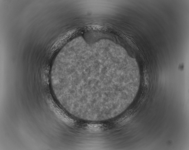 X0000115310450200911301539