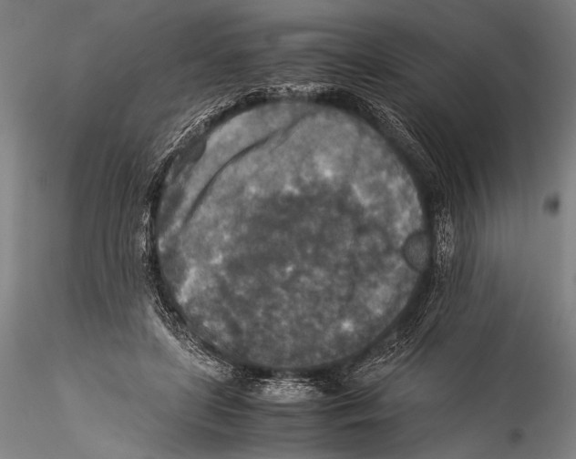 X0000115310451200911301539