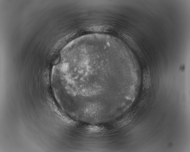 X0000115310453200911301539