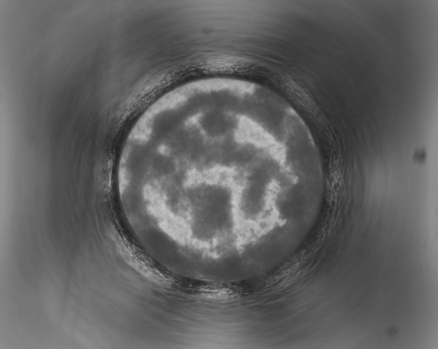 X0000115310454200911301539