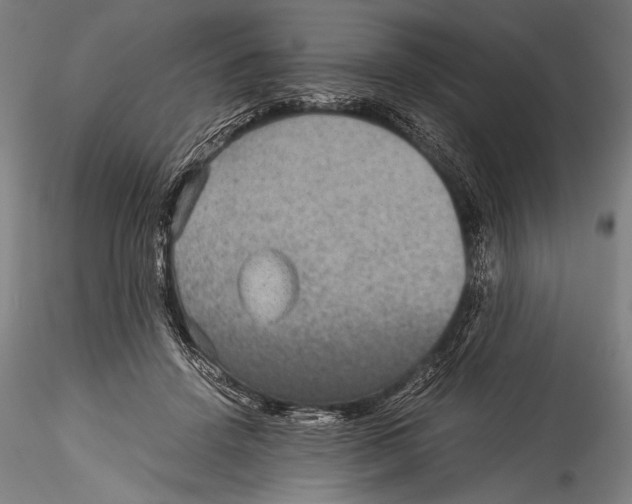 X0000115310456200911301539