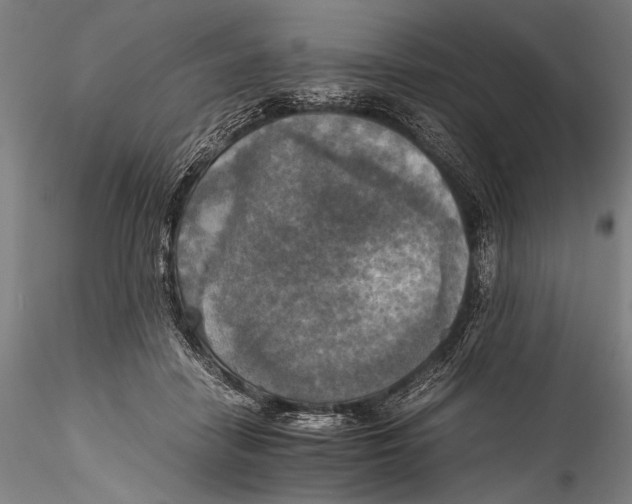 X0000115310458200911301539