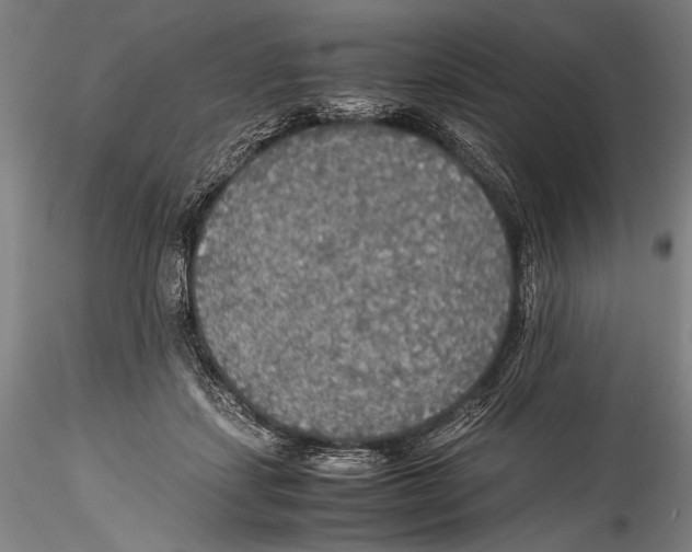 X0000115310459200911301539