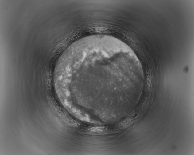 X0000115310461200911301539