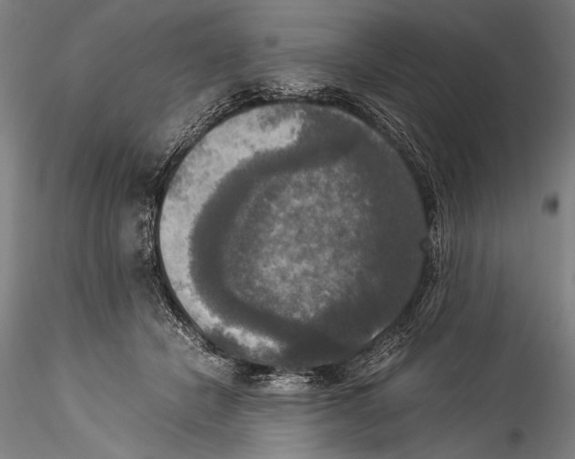 X0000115310462200911301539