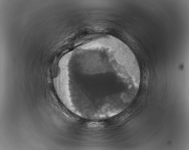 X0000115310465200911301539