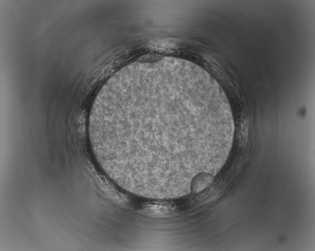 X0000115310466200911301539