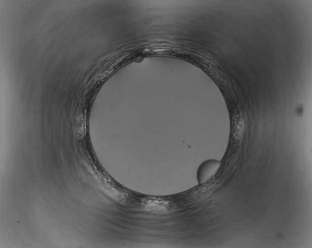 X0000115310471200911301540