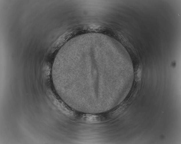 X0000115310472200911301540