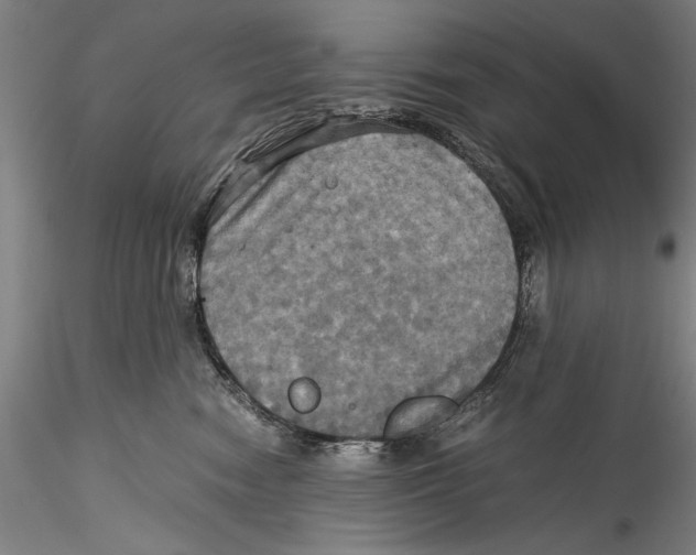 X0000115310474200911301540