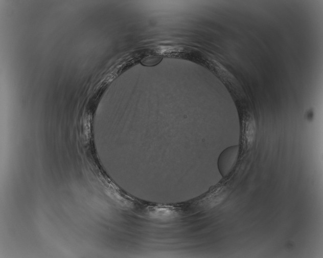 X0000115310475200911301540