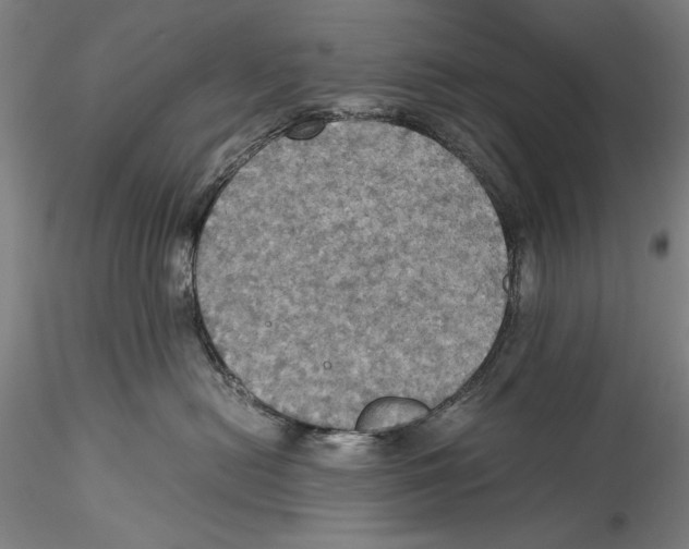 X0000115310478200911301540