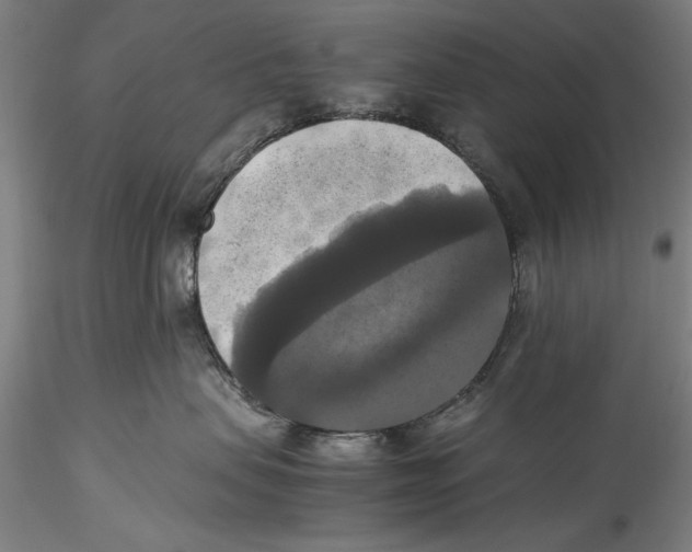 X0000115310479200911301540