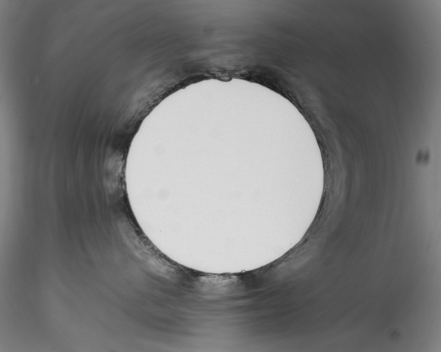 X0000115310480200911301540