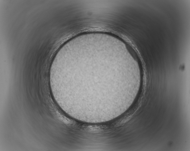 X0000115310481200911301539