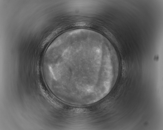 X0000115310482200911301539