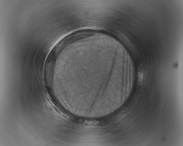 X0000115310484200911301539