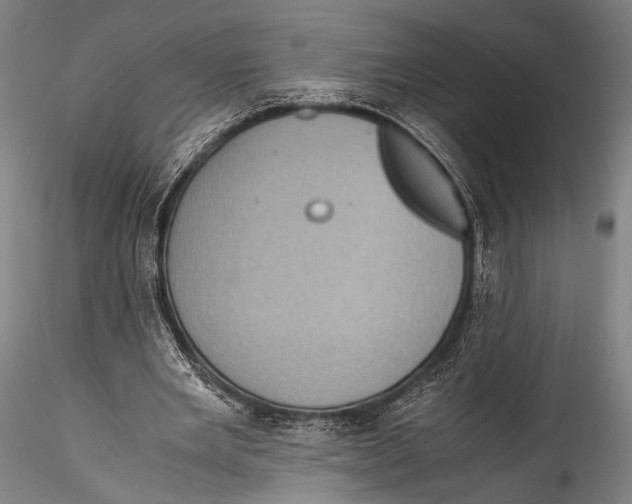 X0000115310485200911301539