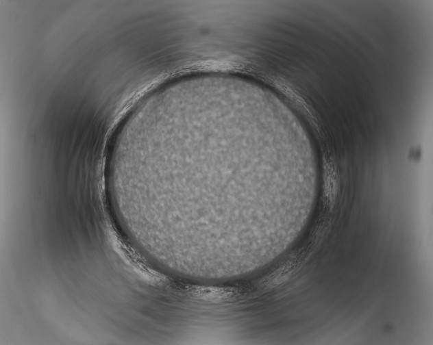 X0000115310486200911301539