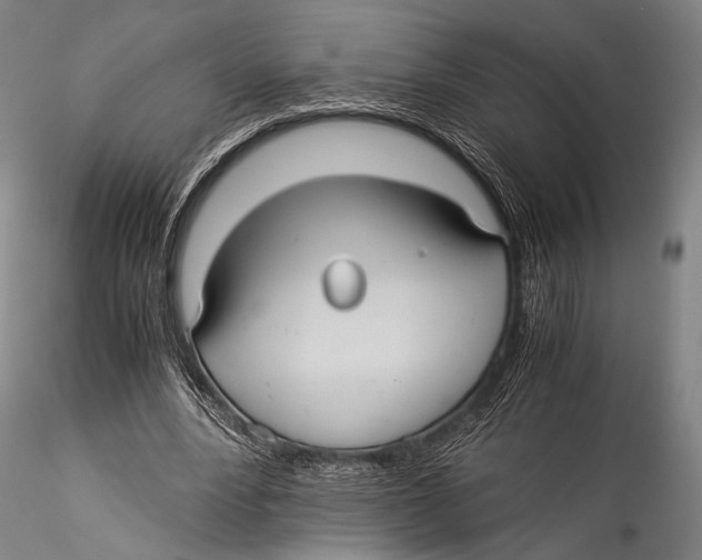 X0000115310488200911301539