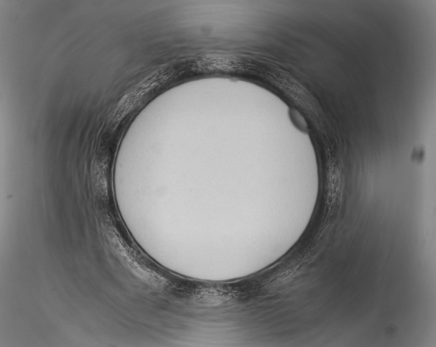 X0000115310489200911301539