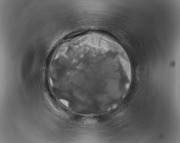 X0000115310491200911301539