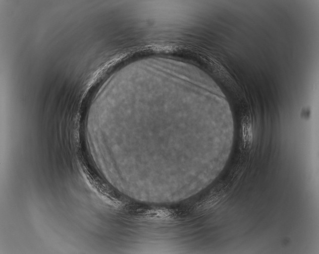 X0000115310492200911301539